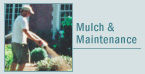 Mulch & Maintenance