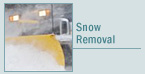 Snow Removal