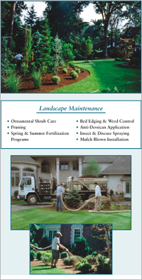 Mulch Maintenance, Mulch, Mulch blown installation, Mulch blower, Mulching, Hemlock mulch, Cedar mulch, Red mulch, Bark mulch, Pruning, Edging, Planting