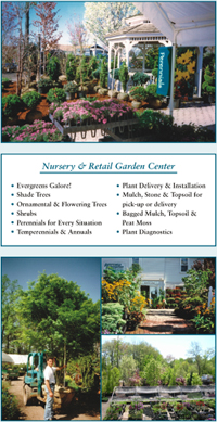 Nursery and Garden Center, Landscape design, Garden design, Gardening, Gardens, Garden Plants, Planting, Pruning, Shrubs, Plants, Flowers, Annuals, Perennials, shade loving plants, deer resistant plants, Flowering trees, trees, shade trees, Nursery stock, plant materials, swimming pools, plant descriptions, Landscape privacy plants, Landscape master plan, Landscape lighting installer