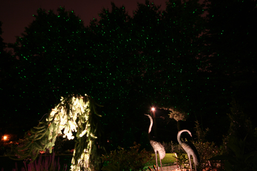 exterior lighting, low voltage lighting, star lites, landscape lighting, lanscape lighting design, 1,000 stars